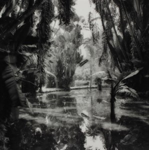 Image description is not available for 1999.030